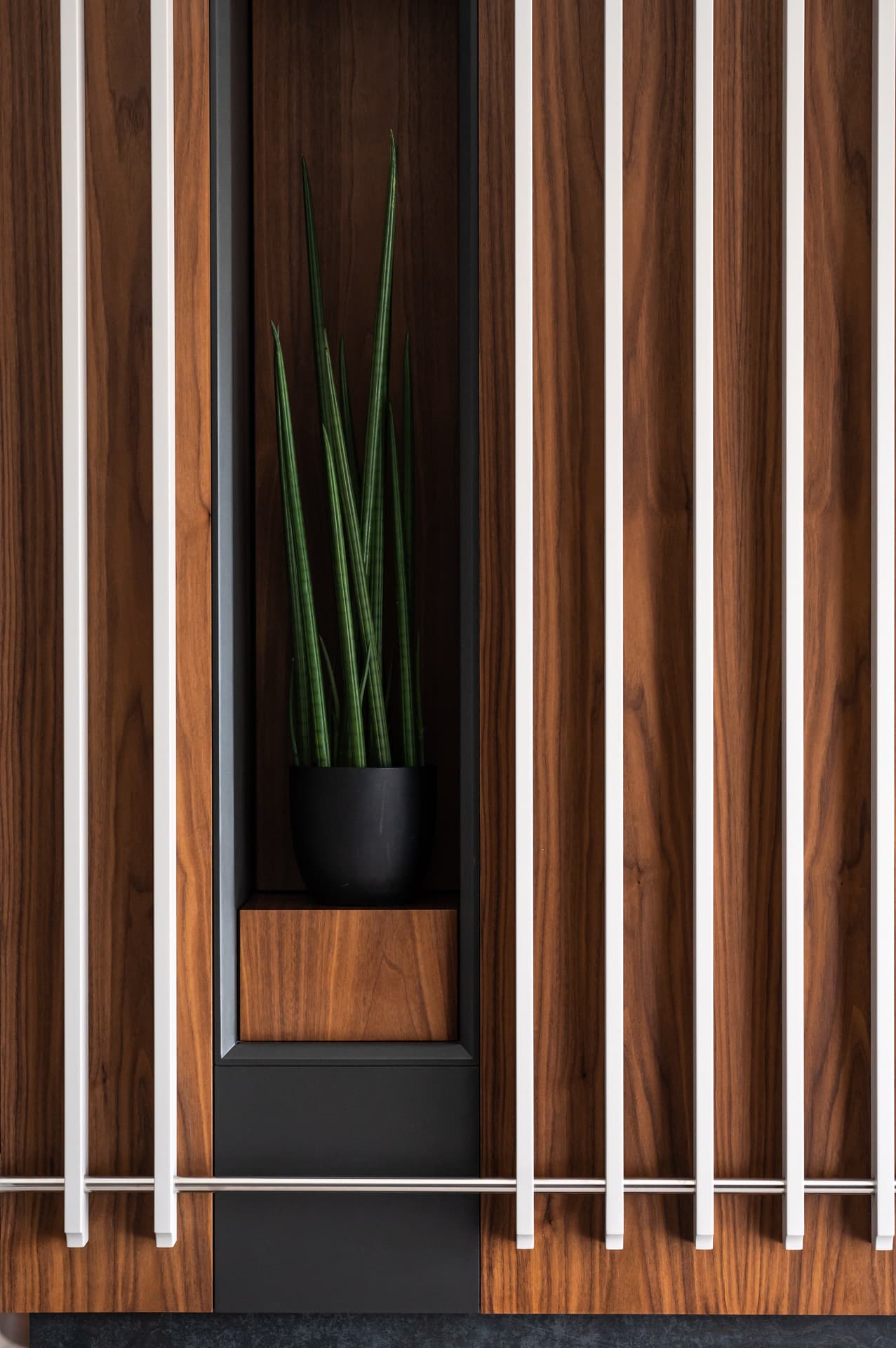 Snake plant in a black pot in a narrow dark niche between walnut panels lined with white vertical rods in the living room of Pistachio